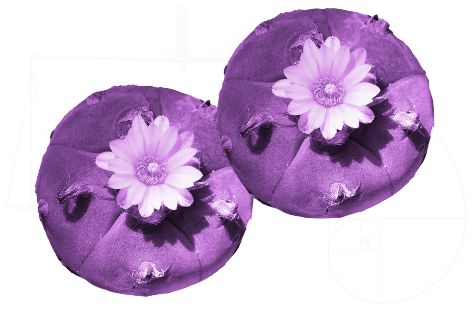 Flowers Img